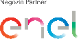 partner Enel Energia